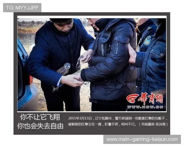 篮球场上的警钟：鞋带松脱与生命的瞬间倒计时